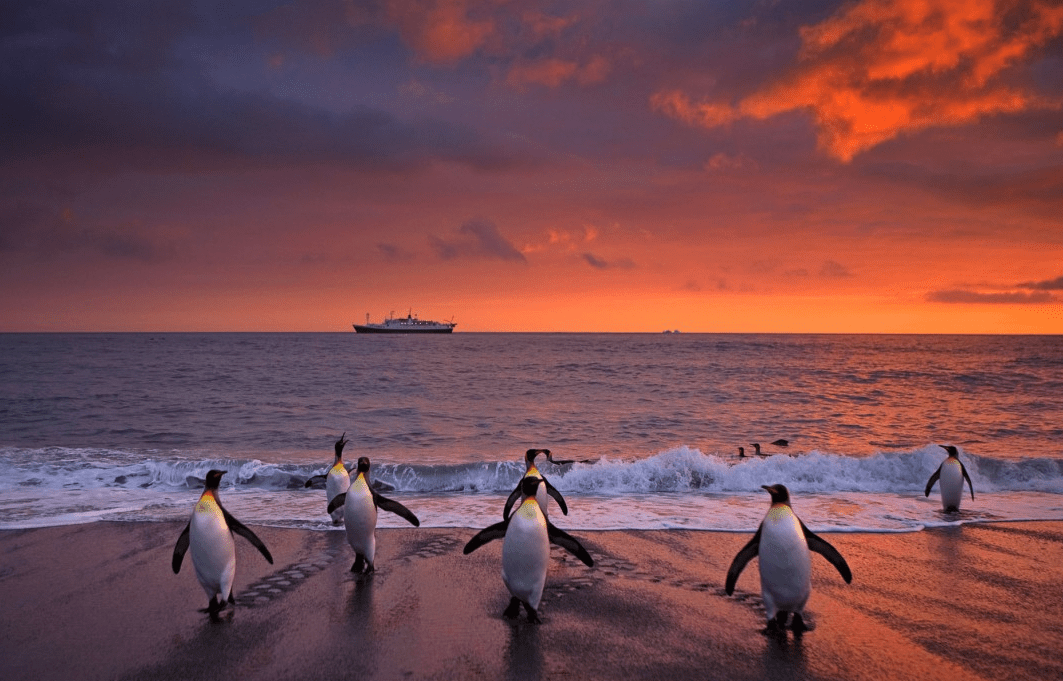 Antarctictrip