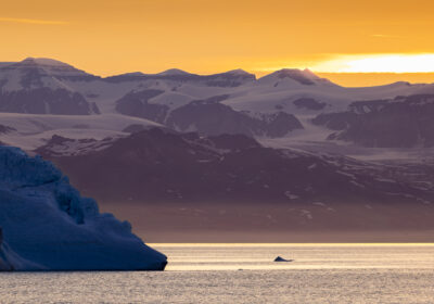 Reasons to Visit the Arctic Thumbnail