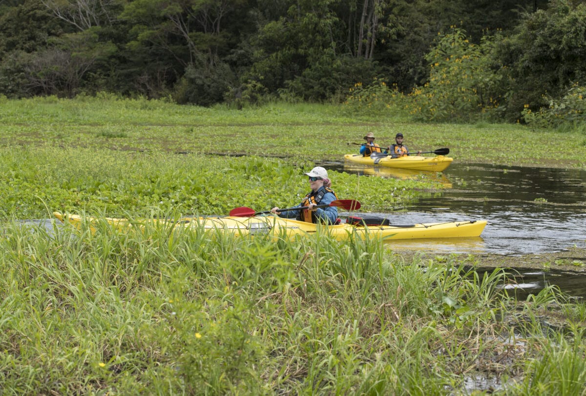 Kayaking, Jungle, Santarem, Amazon