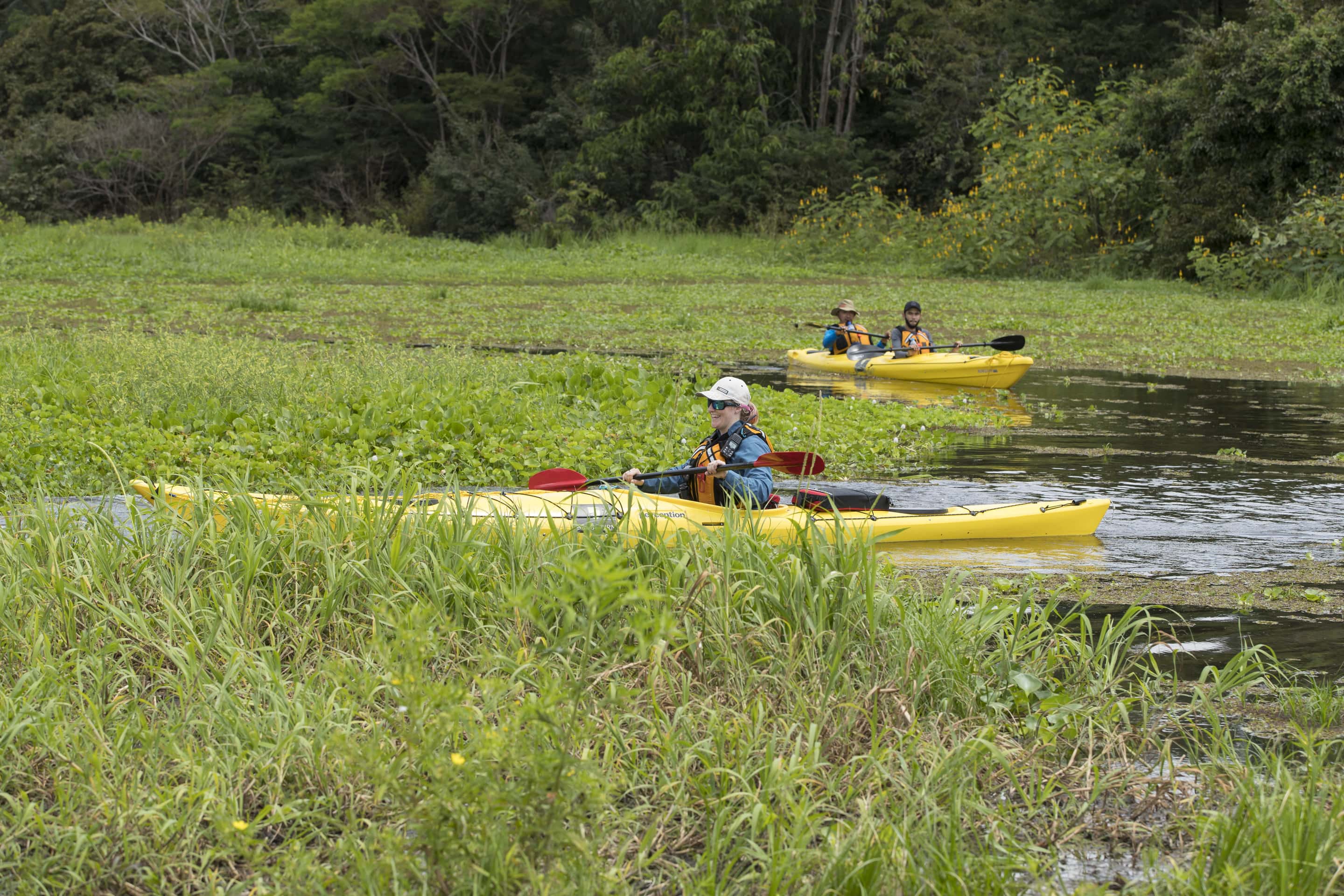 Kayaking, Jungle, Santarem, Amazon