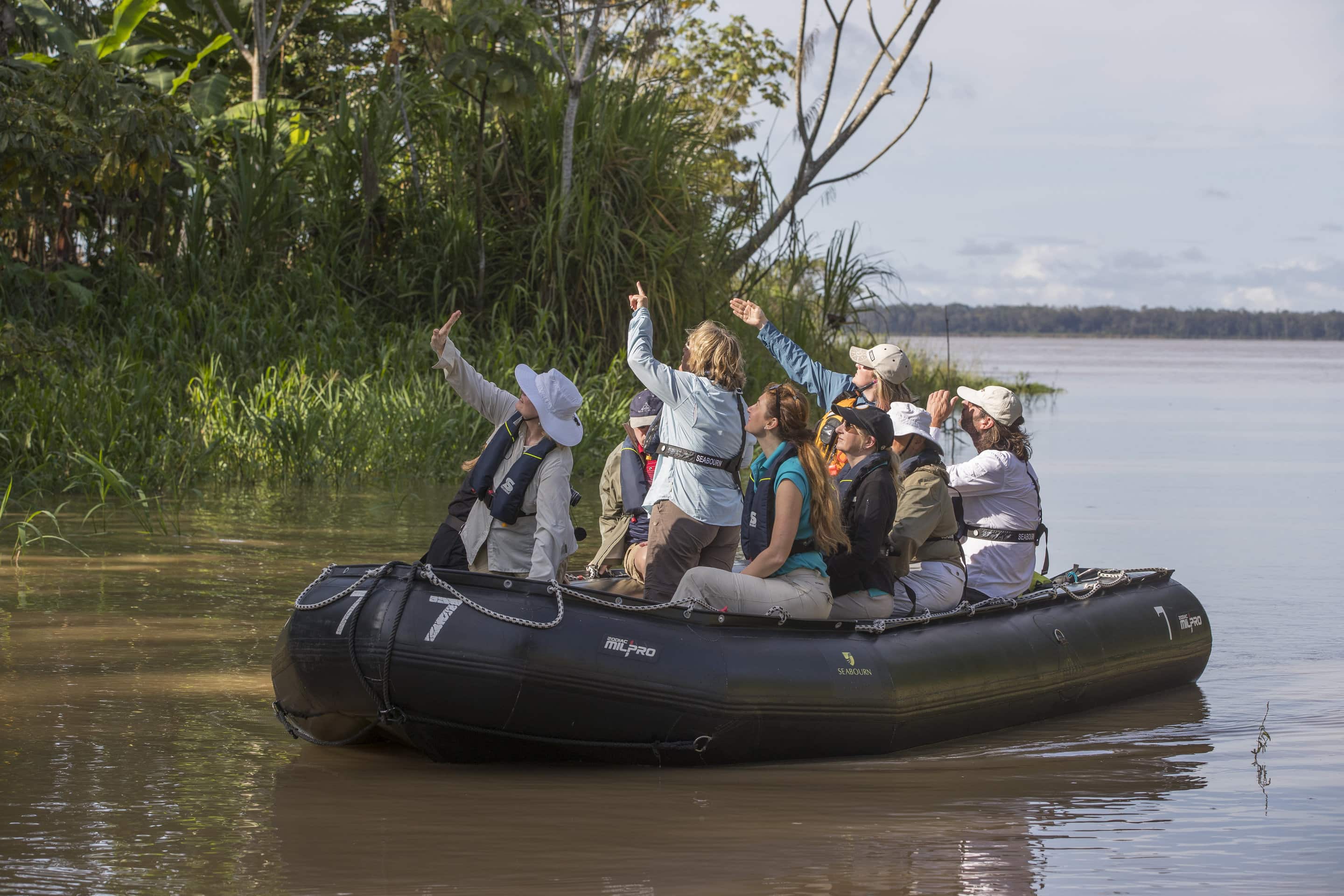 Zodiac cruise, Ventures staff guiding, in the jungle, Boca dos B