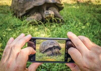 Beyond the Beach: Embark on a Galápagos Odyssey this Spring Break Thumbnail