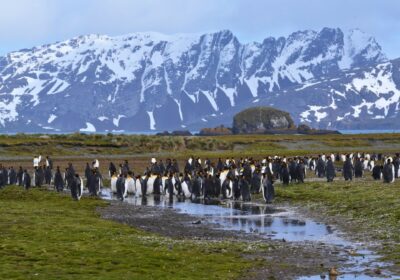 My 53rd Journey South Thumbnail