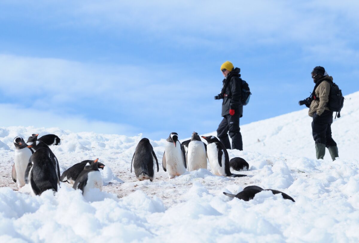 dc9d19128602150a7085b79b1e312191a6cc2c52