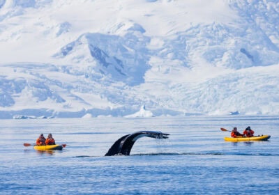 Standing at the Edge of the World: Antarctica and Patagonia Expedition Thumbnail