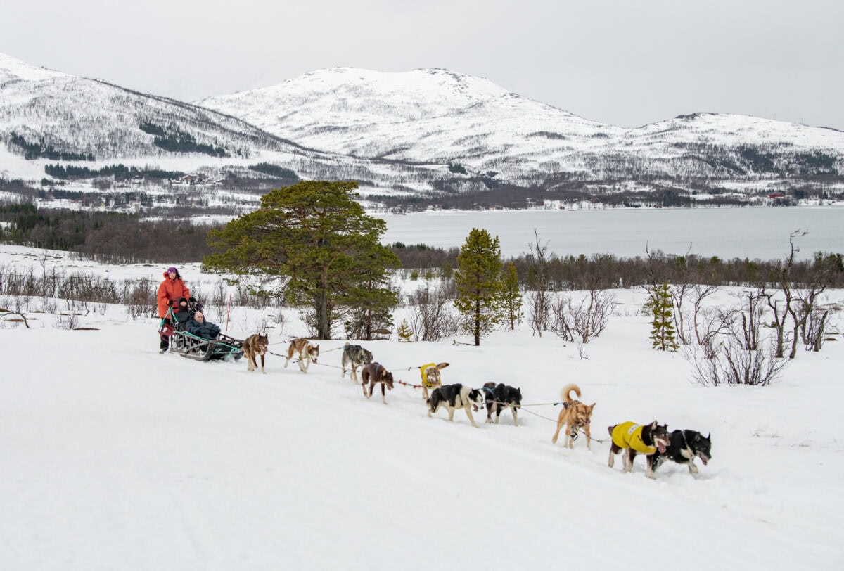 20220301_Norway_Tromso_DogSled2_TedGatlin_1984