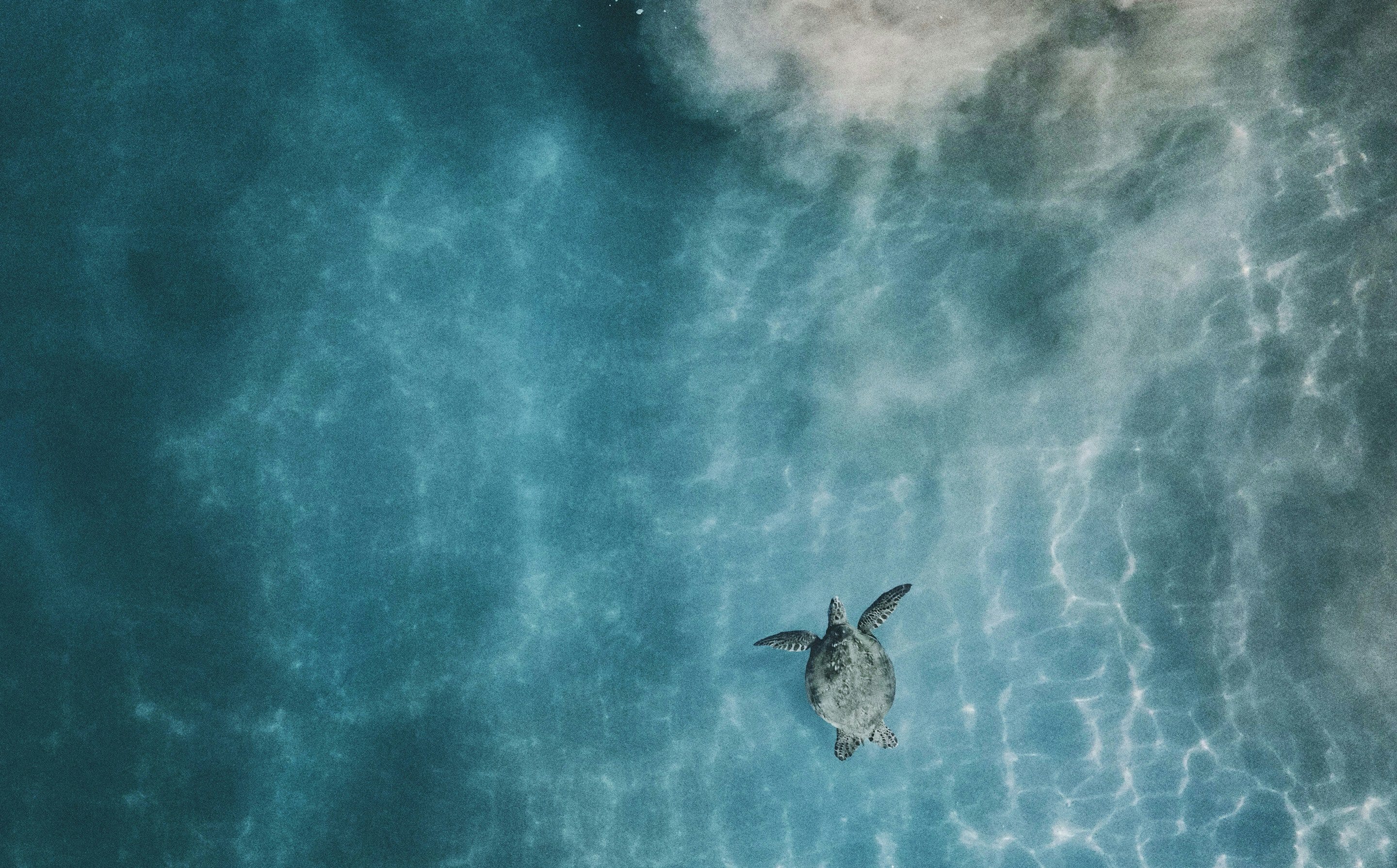 Mitch meyers YQD1Xljt4xo unsplash