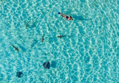 4 Snorkeling Paradises Thumbnail